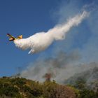 Canadair im Einsatz 5/5