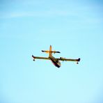 Canadair in volo sul Trasimeno