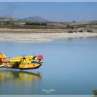 Canadair sul lago arancio