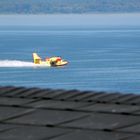 Canadair sul Trasimeno: raccolta dell'acqua