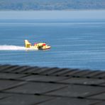 Canadair sul Trasimeno: raccolta dell'acqua