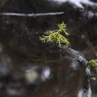 Canada_Nationalpark