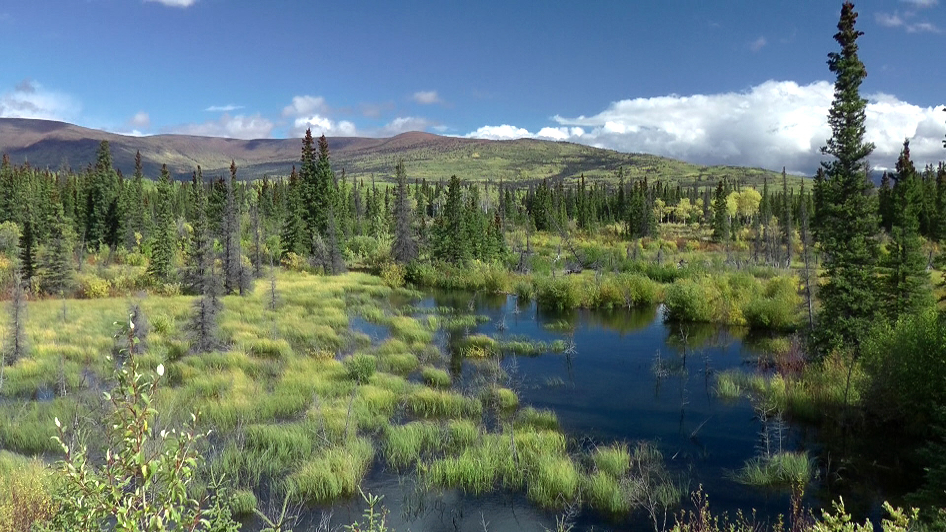 Canada/Yukon, Kluane Nationalpark zwischen Sommer und Herbst