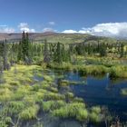 Canada/Yukon, Kluane Nationalpark zwischen Sommer und Herbst