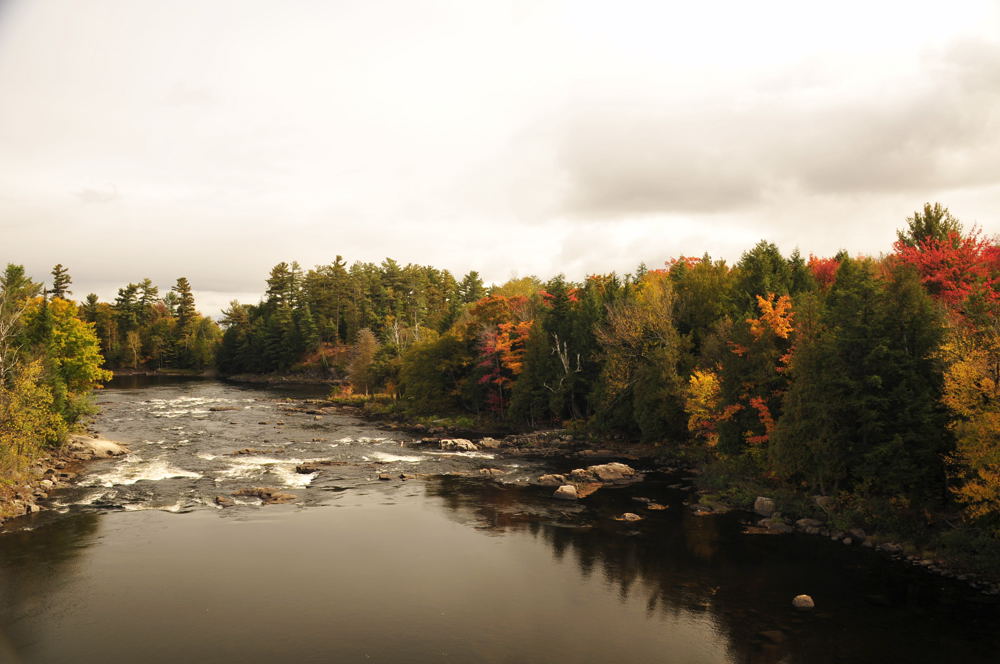 Canadian Autumn