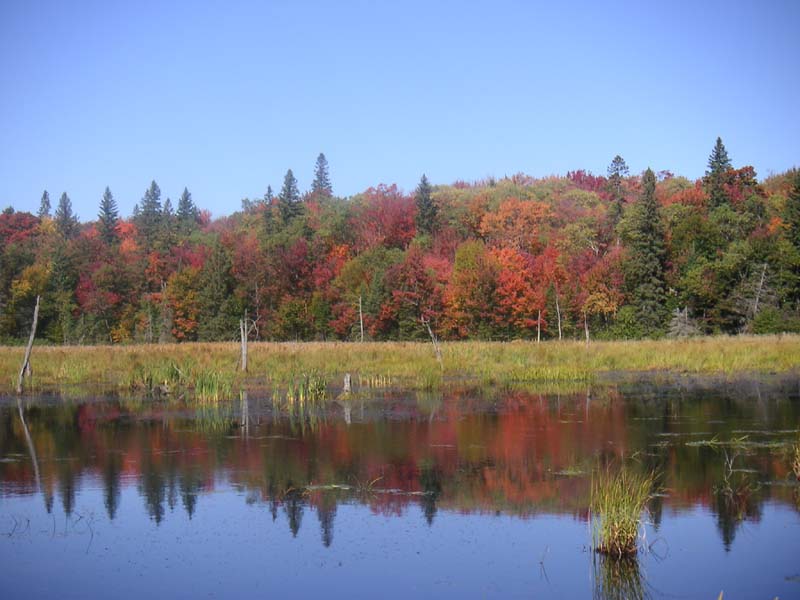 Canadian Indian Summer