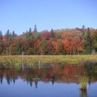 Canadian Indian Summer