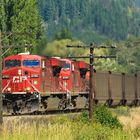 Canadian Pacific 8782