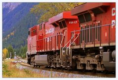 Canadian Pacific 8917