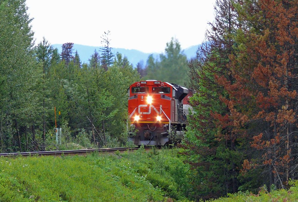 Canadian Railroad