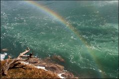 Canadian Rainbow