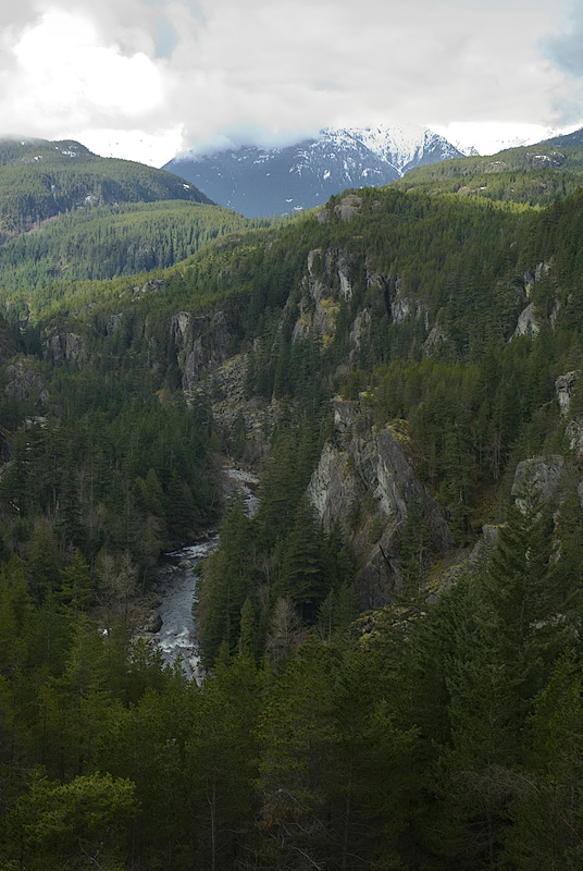 Canadian Rockies...