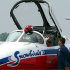 Canadian Snowbirds #1