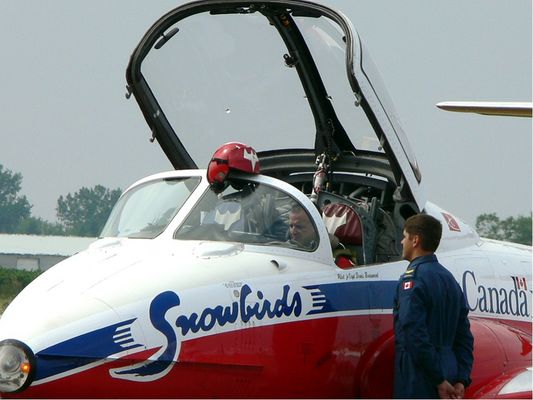 Canadian Snowbirds #1