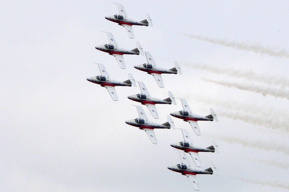 Canadian Snowbirds #2