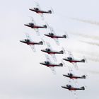 Canadian Snowbirds #2