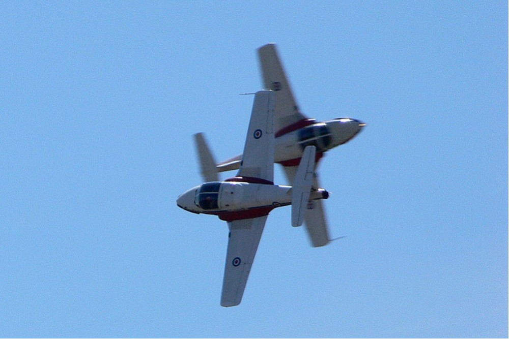 Canadian Snowbirds #3