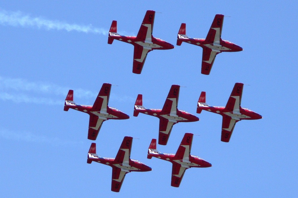 Canadian Snowbirds #4