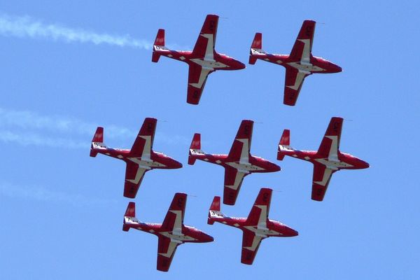 Canadian Snowbirds #4