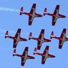 Canadian Snowbirds #4