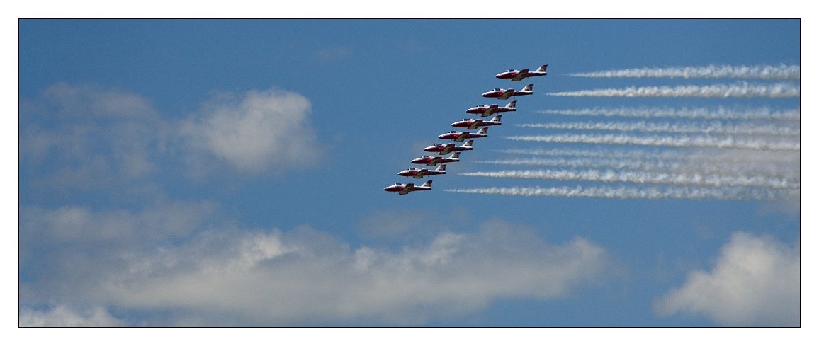 Canadian Snowbirds