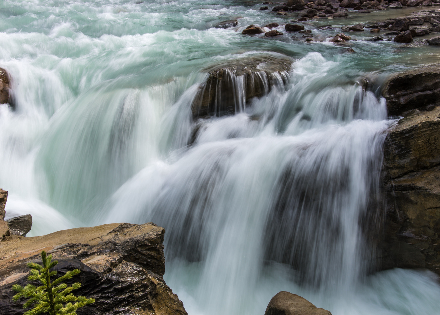 Canadian Waters - Sunwapta Falls