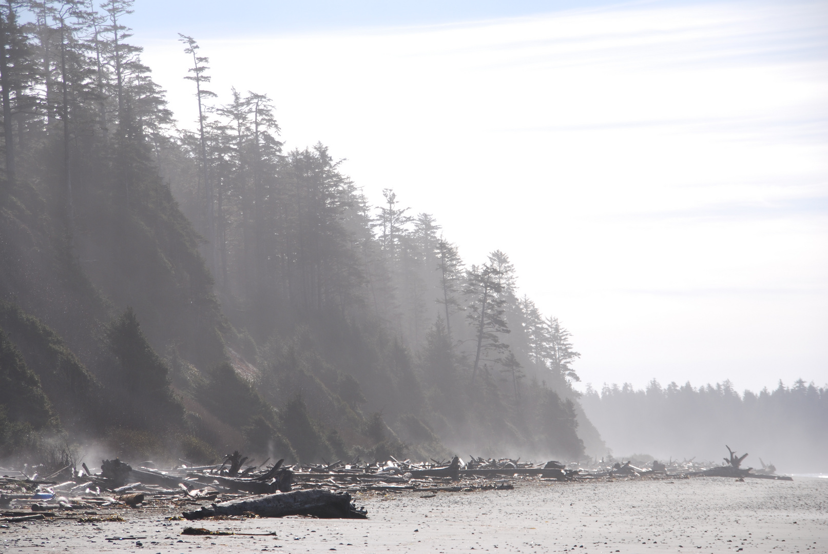 Canadian West Coast - Long Beach