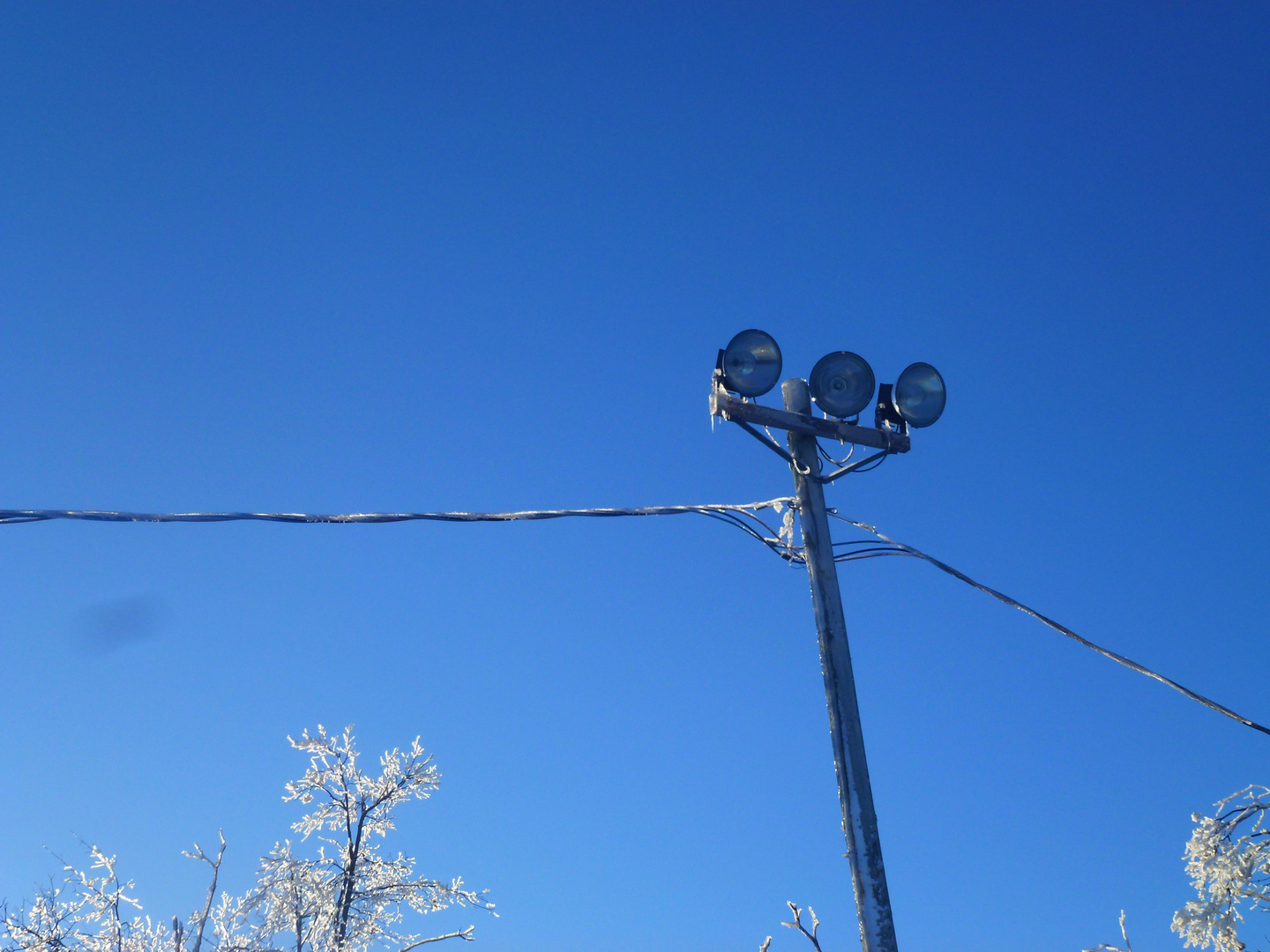 Canadian Winter II