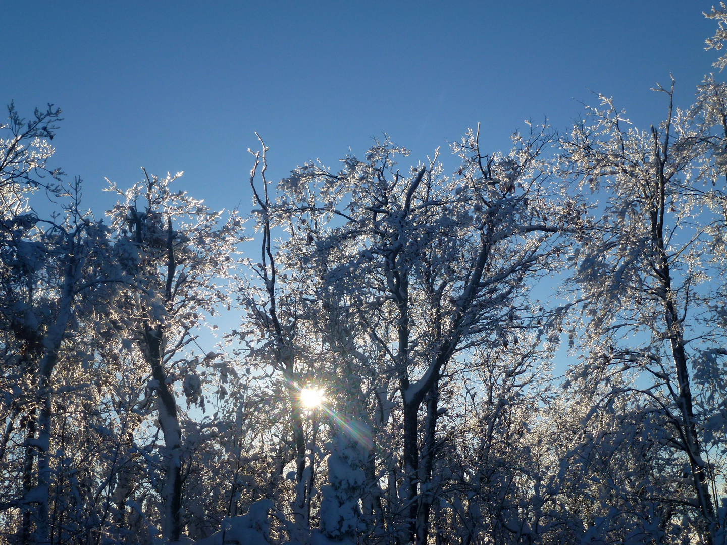 Canadian Winter V