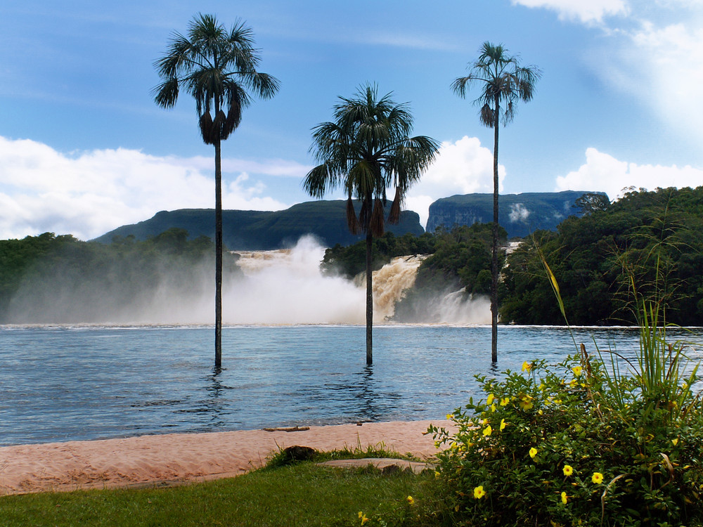 Canaima