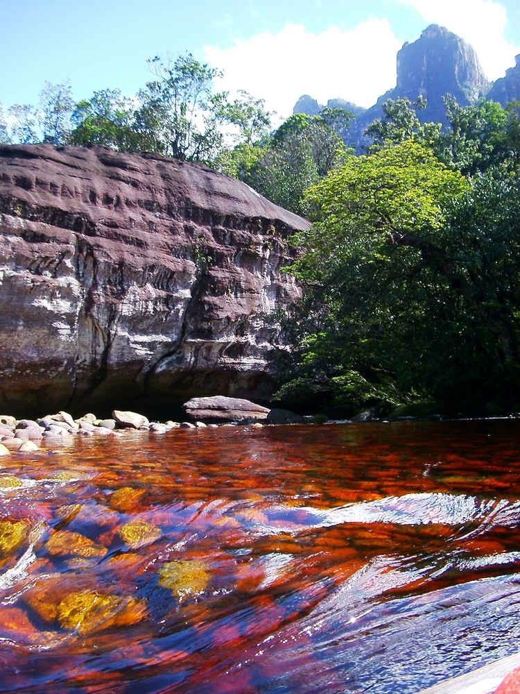 Canaima Nationalpark, Venezuela von Scubaduba