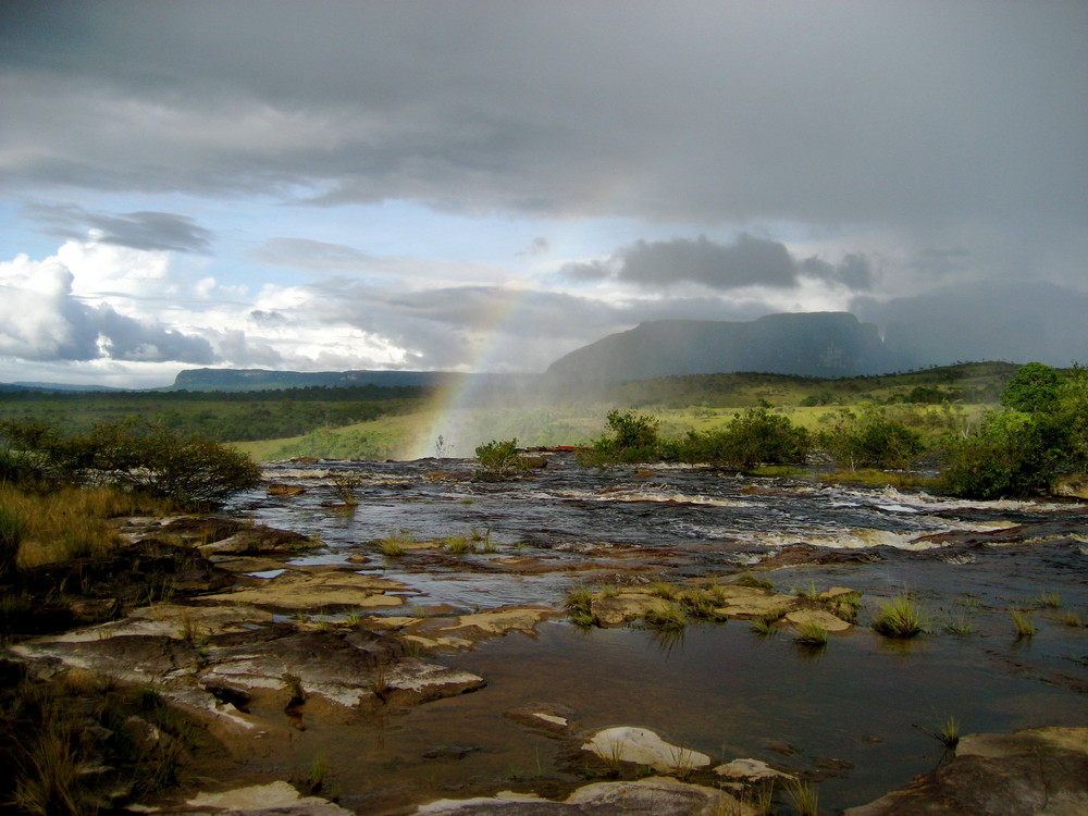 Canaima Salto Sappo