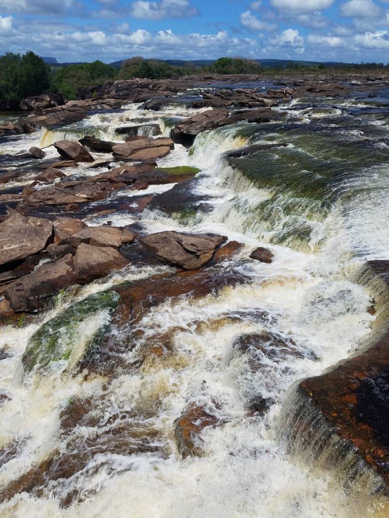 canaima venezuela