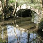 canal abandonné