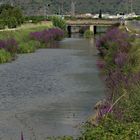 CANAL ALBUFERA