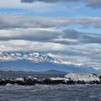 Canal Beagle 01