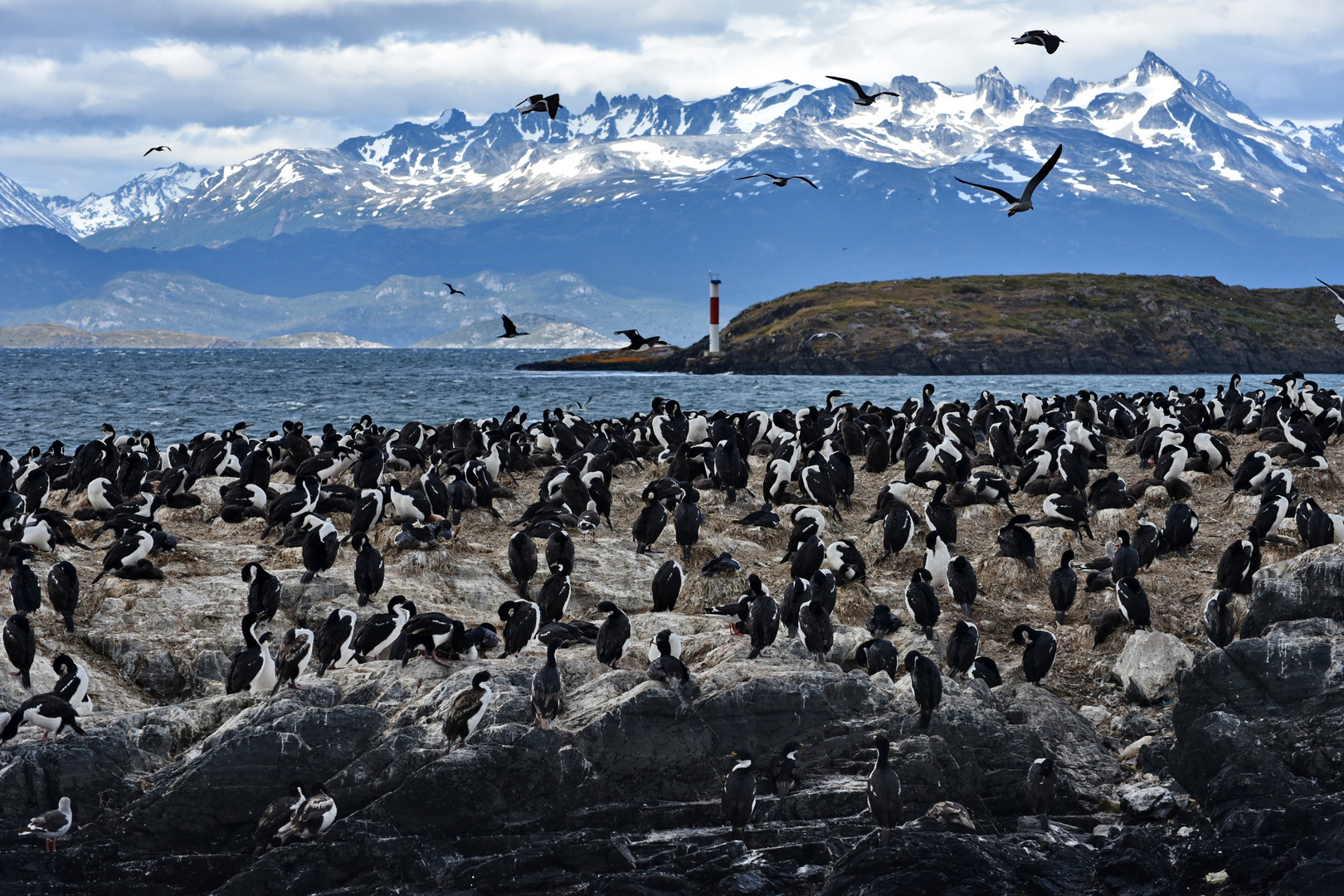 Canal Beagle 02