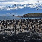 Canal Beagle 02