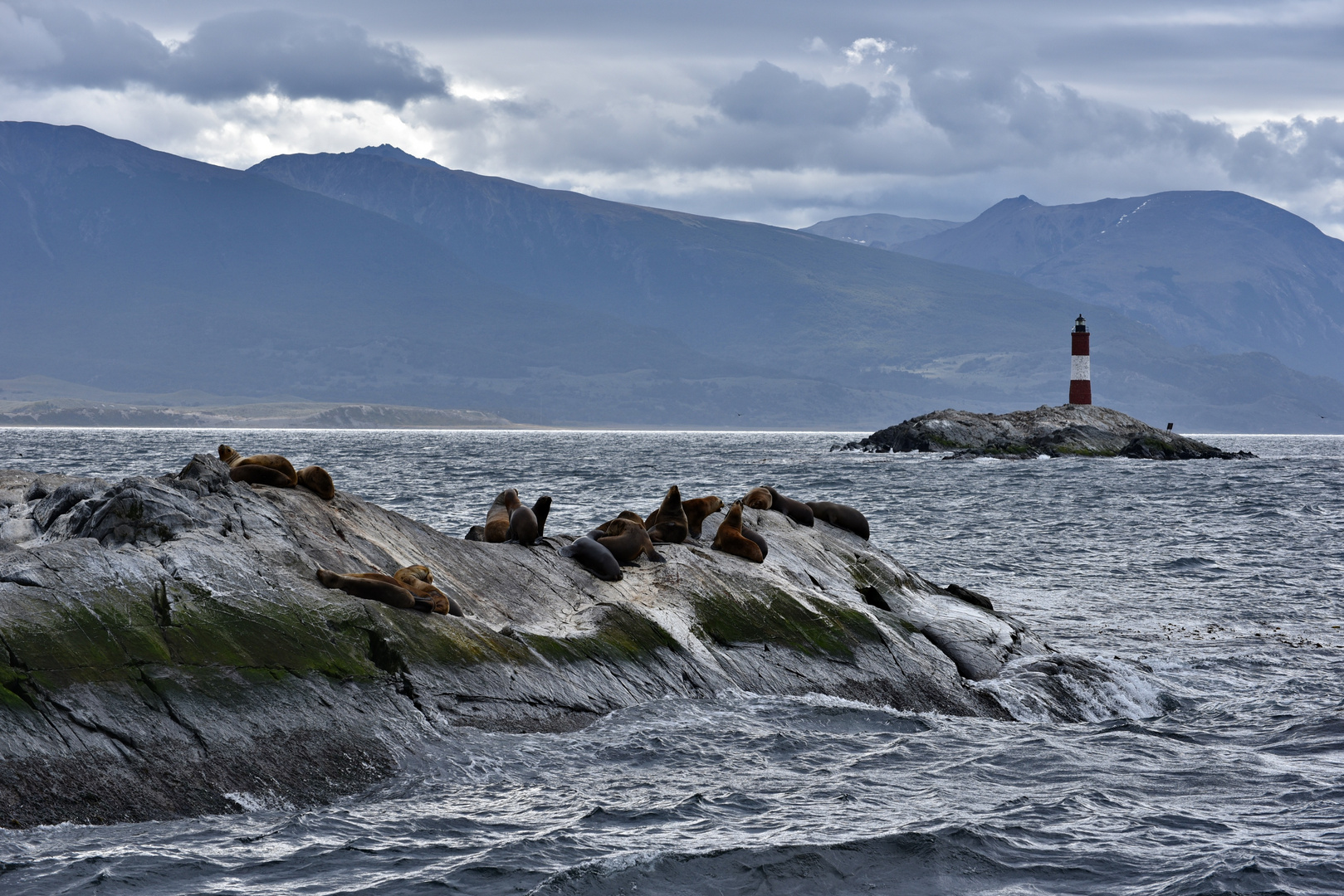 Canal Beagle 04