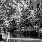 Canal Boat Summer - A Georgetown Impression