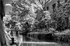 Canal Boat Summer - A Georgetown Impression