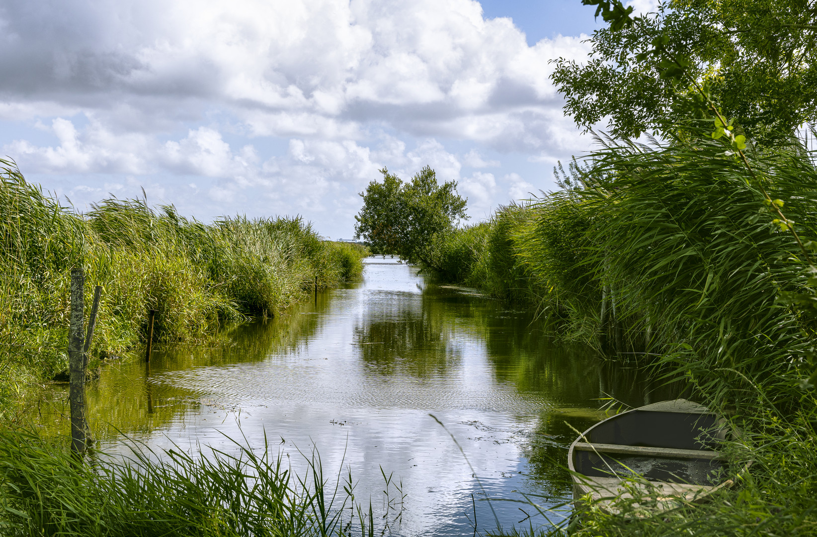 canal dans la Brière