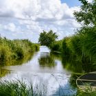 canal dans la Brière