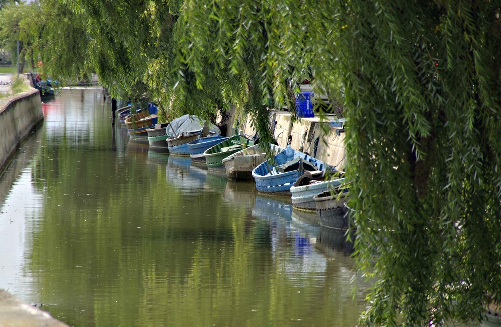 CANAL DE ALBUFERA EN EL PALMAR