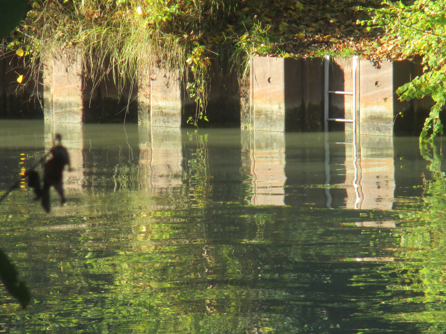  Canal de Chelles et Haute Ile