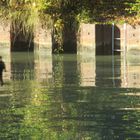  Canal de Chelles et Haute Ile