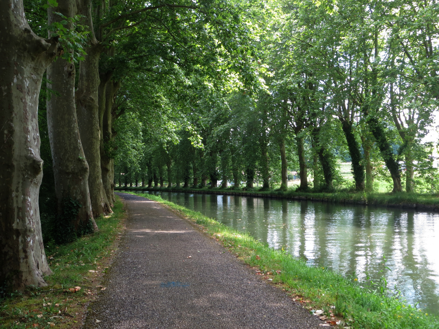 Canal de Garonne