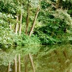 Canal de la Bruche, Elsass,Frankreich (2)