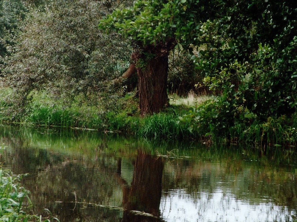 Canal de la Bruche, Elsass,Frankreich (3)