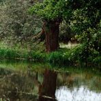 Canal de la Bruche, Elsass,Frankreich (3)